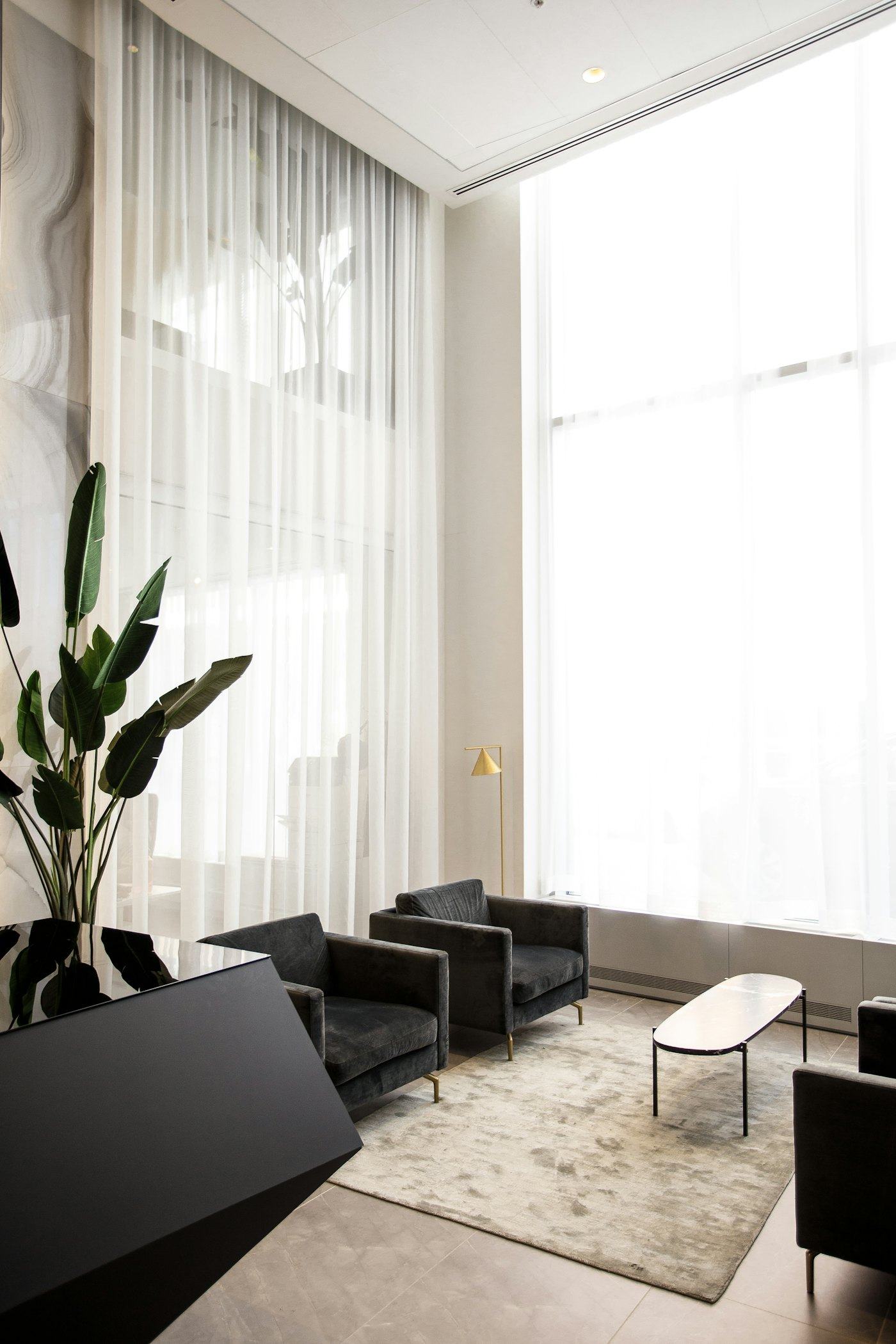 Sala com cortinas em linho, plantas e mobiliário escuro, iluminada por luz natural